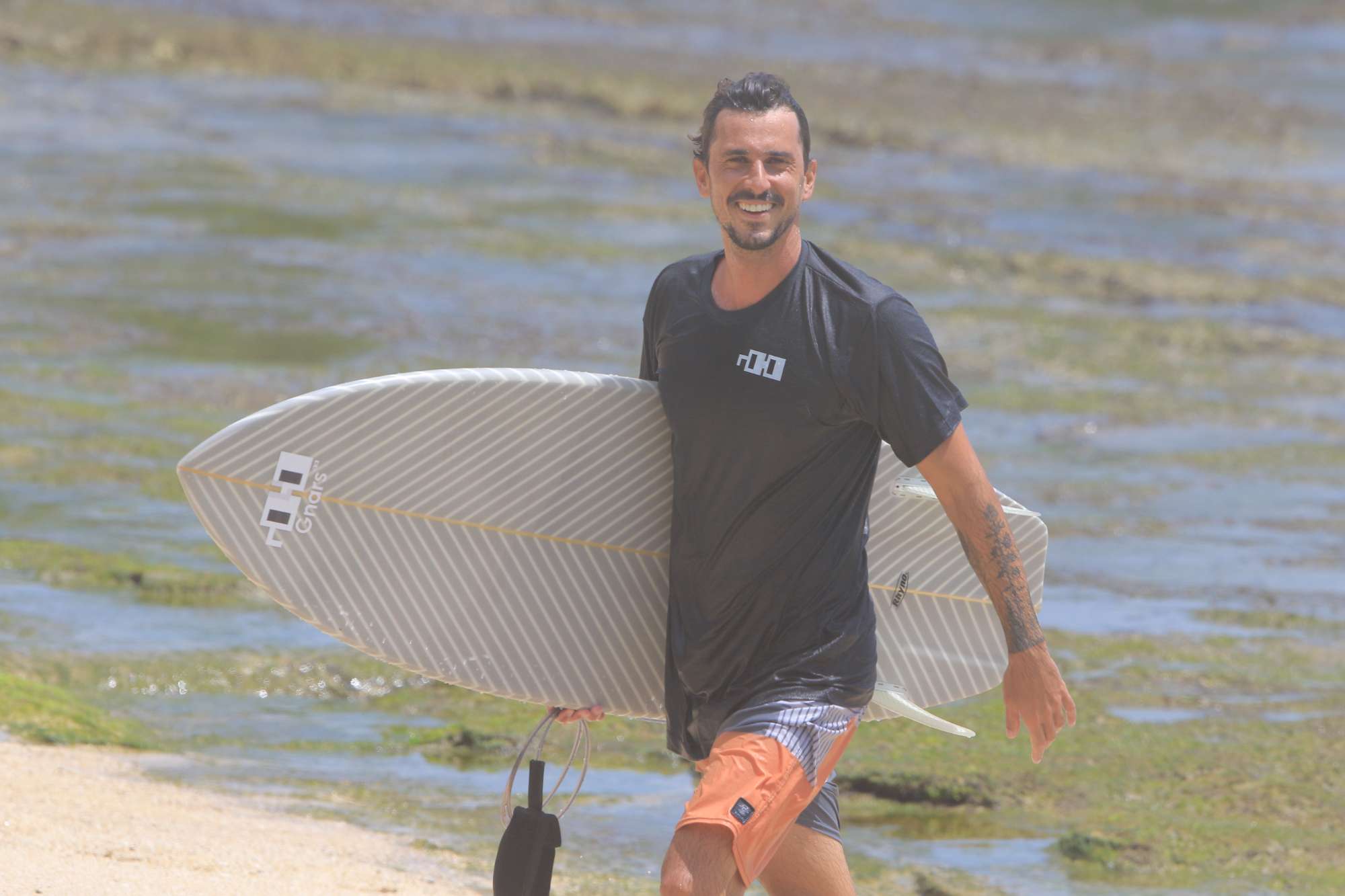 Nounish Surfing
